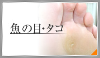 魚の目・タコ